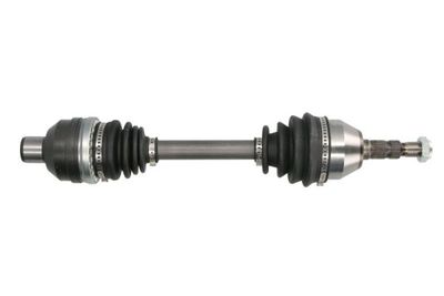 Drive Shaft PASCAL G2X041PC