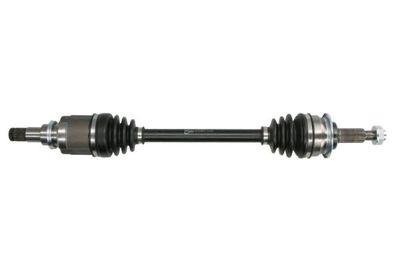 Drive Shaft PASCAL G2X089PC