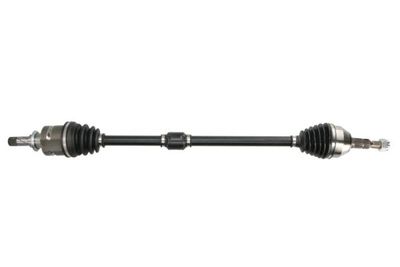 Drive Shaft PASCAL G2X099PC