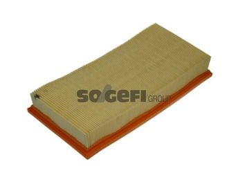 Air Filter PURFLUX A1004