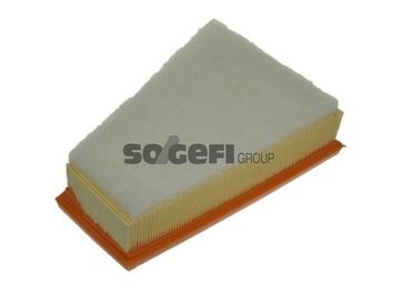 Air Filter PURFLUX A1057