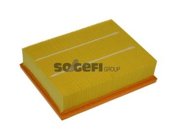 Air Filter PURFLUX A1165