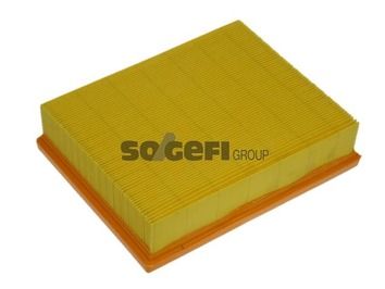 Air Filter PURFLUX A1213