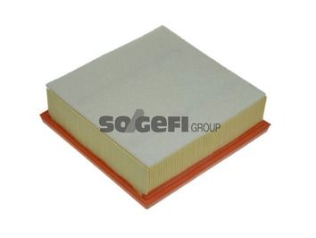 Air Filter PURFLUX A1223