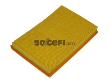 Air Filter PURFLUX A1225