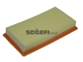 Air Filter PURFLUX A1230