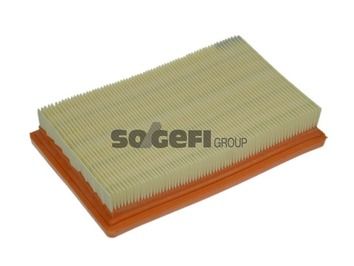 Air Filter PURFLUX A1253