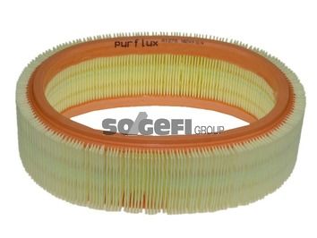 Air Filter PURFLUX A1278