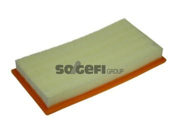 Air Filter PURFLUX A1310