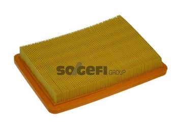 Air Filter PURFLUX A1359