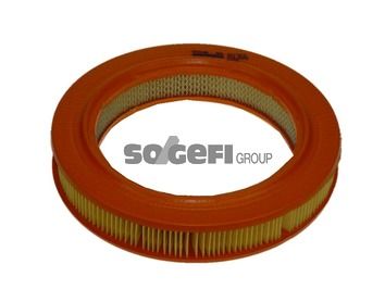 Air Filter PURFLUX A1366