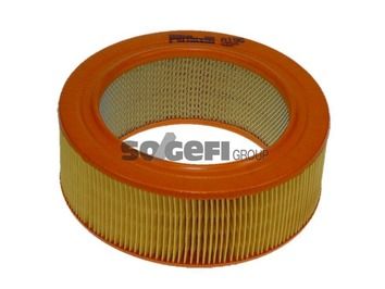 Air Filter PURFLUX A196