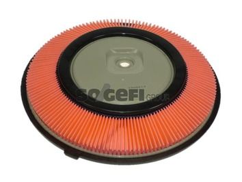 Air Filter PURFLUX A314