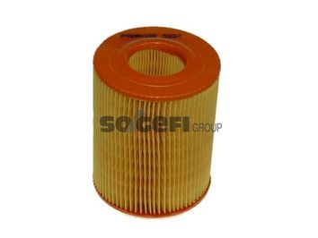 Air Filter PURFLUX A393