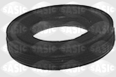 Shaft Seal, differential SASIC 1213243