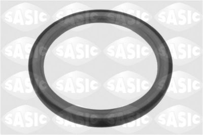 Shaft Seal, crankshaft SASIC 1954001