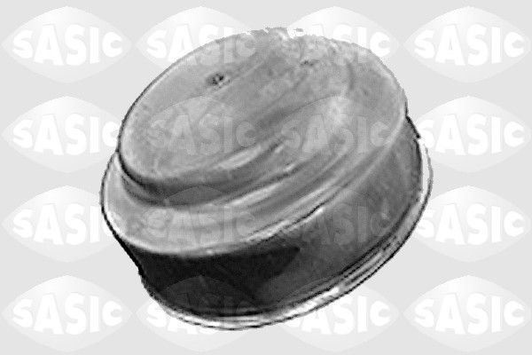 SASIC 7403073 Cover, wheel hub