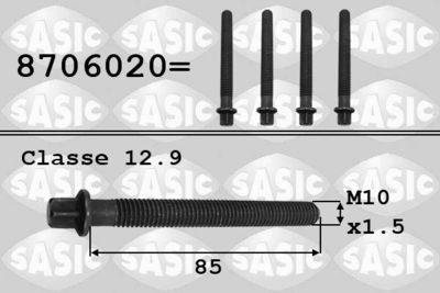 Pulley Bolt SASIC 8706020