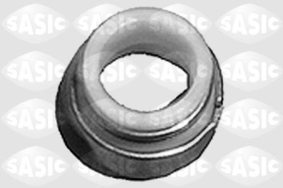 Seal Ring, valve stem SASIC 9560050