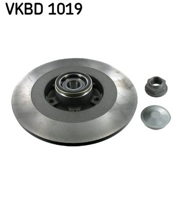 Brake Disc SKF VKBD 1019
