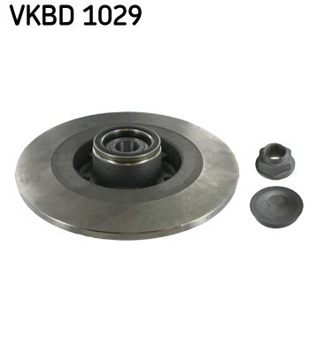 Brake Disc SKF VKBD 1029