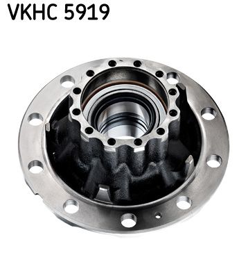 Wheel Hub SKF VKHC 5919