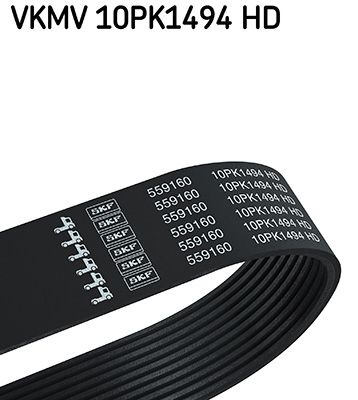 V-Ribbed Belt SKF VKMV 10PK1494 HD