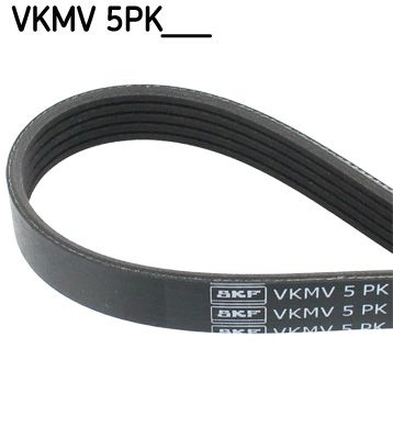 V-Ribbed Belt SKF VKMV 5PK1008