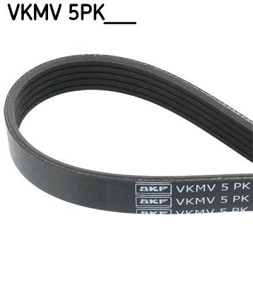 V-Ribbed Belt SKF VKMV 5PK1025