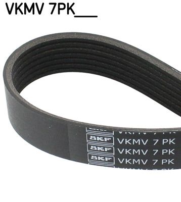V-Ribbed Belt SKF VKMV 7PK1125