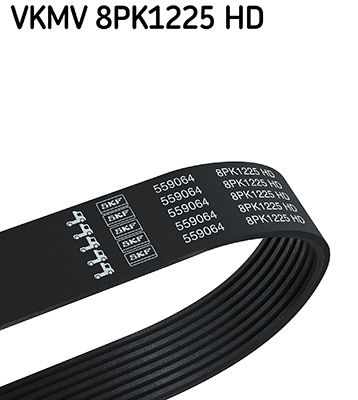 V-Ribbed Belt SKF VKMV 8PK1225 HD