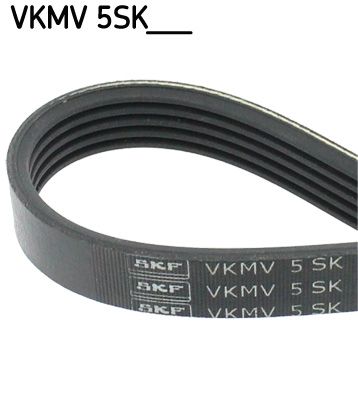 V-Ribbed Belt SKF VKMV 5SK628