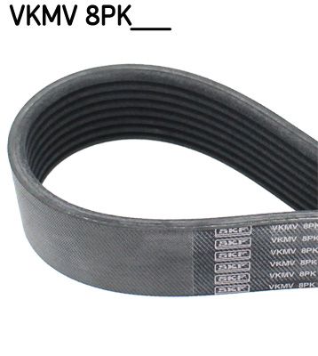 SKF VKMV 8PK1217 V-Ribbed Belt