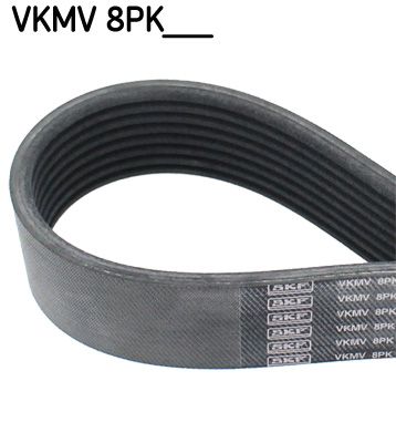 V-Ribbed Belt SKF VKMV 8PK1226