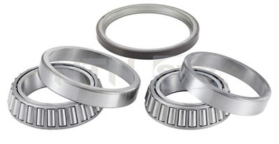 Wheel Bearing Kit SNR R141.47