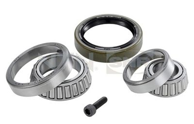 Wheel Bearing Kit SNR R151.24