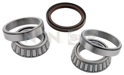 Wheel Bearing Kit SNR R154.47