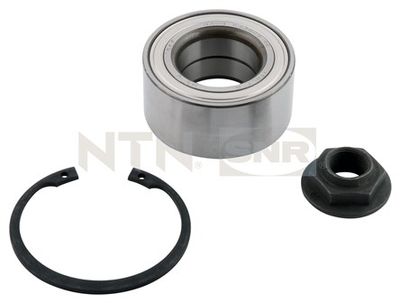 Wheel Bearing Kit SNR R165.09