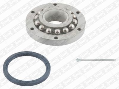 Wheel Bearing Kit SNR R166.04