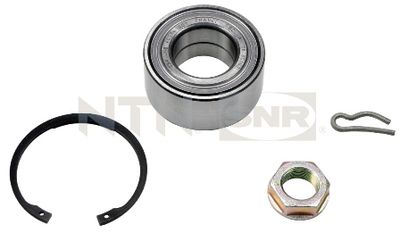 Wheel Bearing Kit SNR R166.13