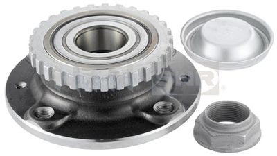 Wheel Bearing Kit SNR R166.29