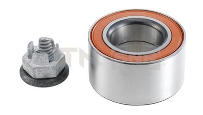 Wheel Bearing Kit SNR R167.09