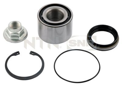 Wheel Bearing Kit SNR R169.14