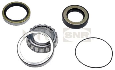 Wheel Bearing Kit SNR R173.07