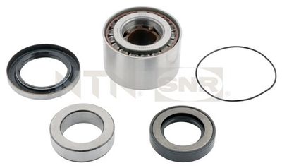 Wheel Bearing Kit SNR R173.19