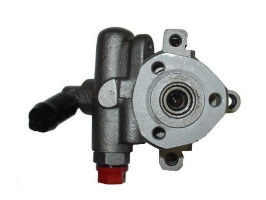 SPIDAN 53517 Hydraulic Pump, steering