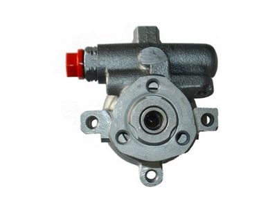 Hydraulic Pump, steering SPIDAN 53941