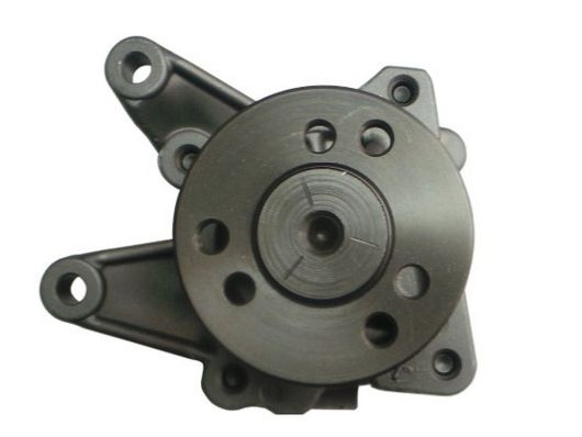 SPIDAN 54126 Hydraulic Pump, steering