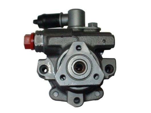 SPIDAN 54247 Hydraulic Pump, steering