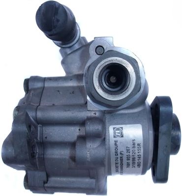 SPIDAN 54249 Hydraulic Pump, steering